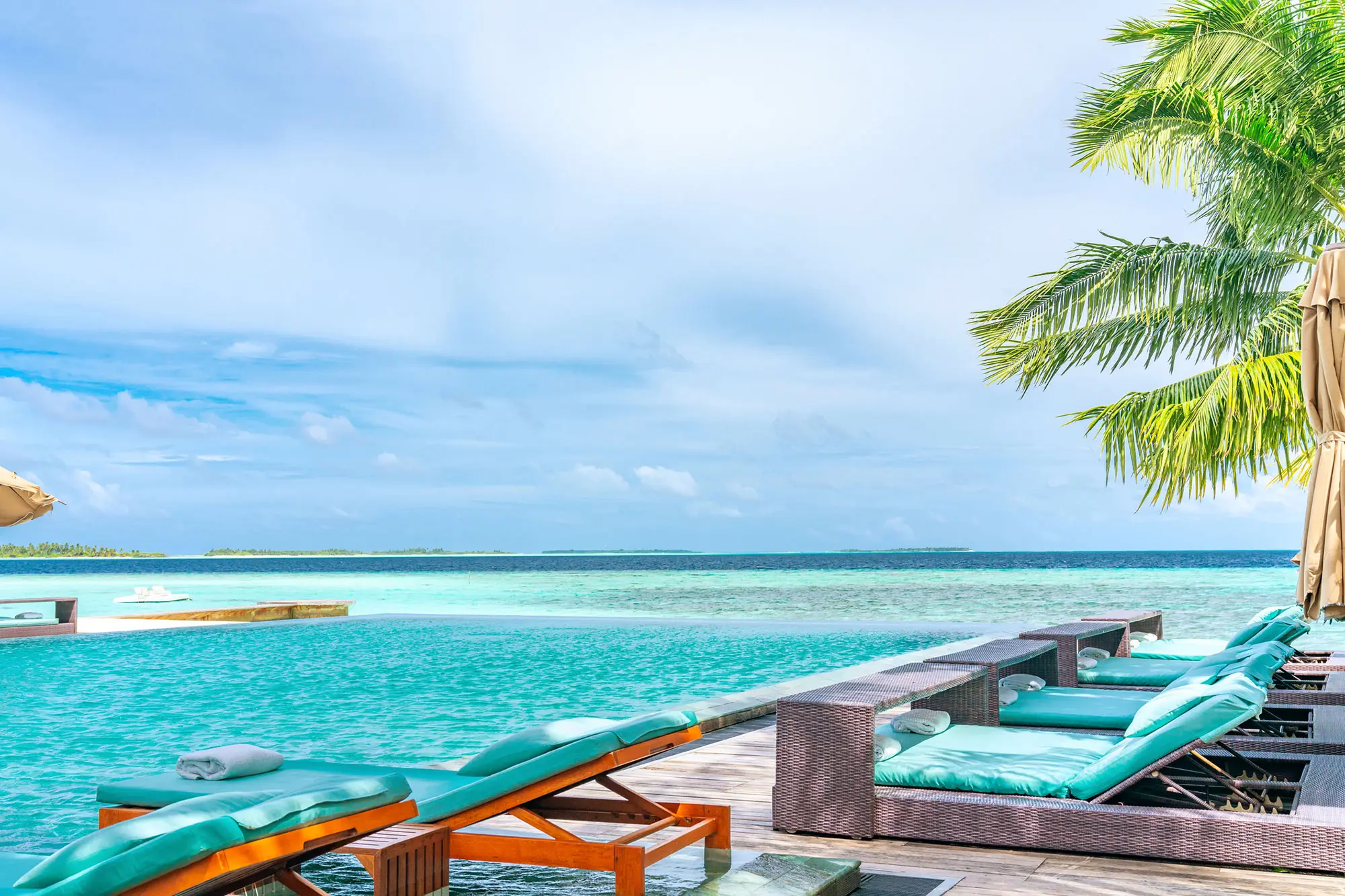 Tropical infinity pool overlooking the ocean with lounge chairs and palm trees.