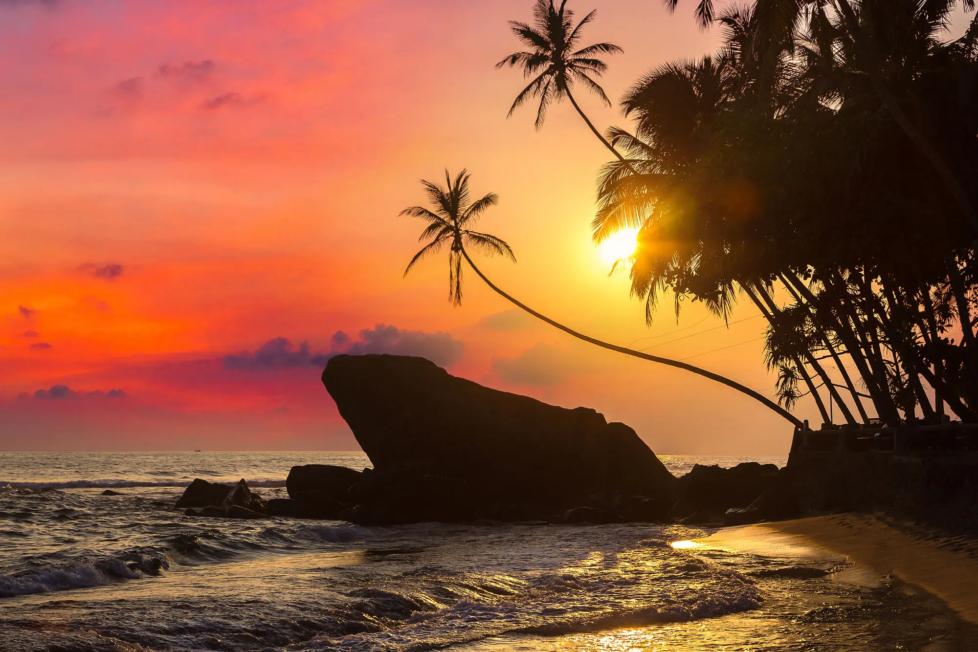 Sunset over a rocky beach with silhouetted palm trees.